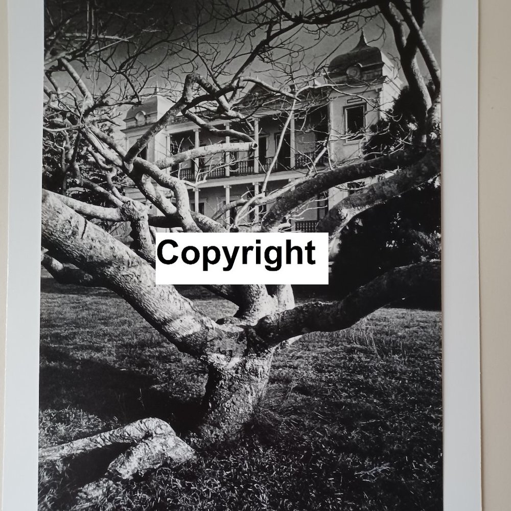 Tropical Climate Photo Sale